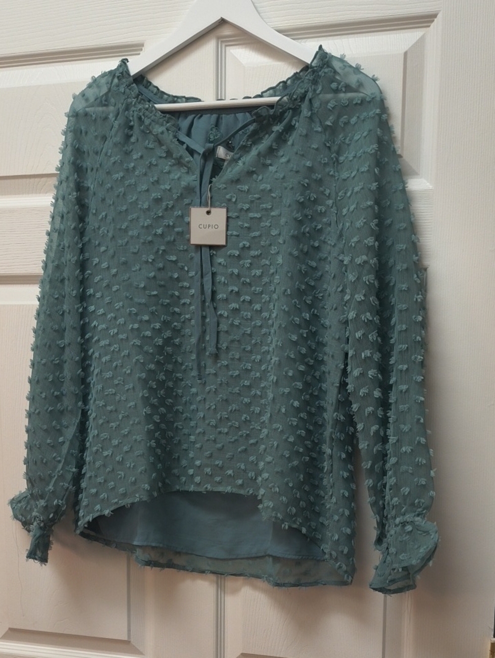 Cupio Teal Textured Swiss-Dot Tie-Neck Blouse